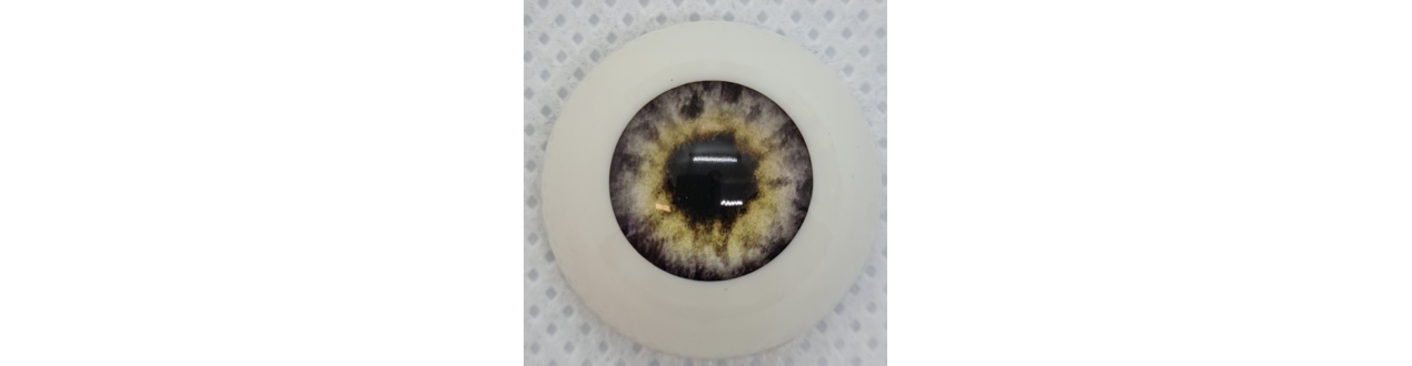 Pabol  Eyes ( acryliques)