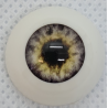 Pabol  Eyes ( acryliques)