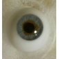 Lauscha 2 Gray - Reborn Iris
