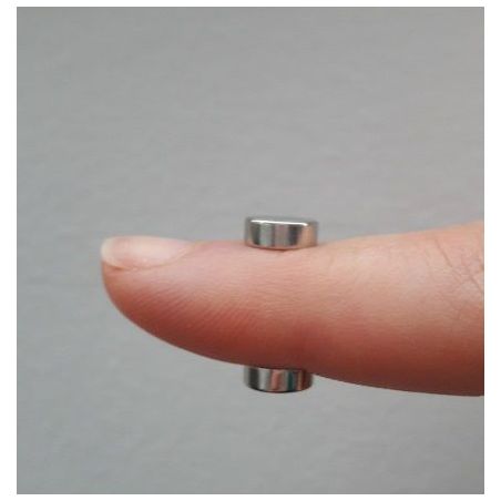 2 magnets 8x3 mm round (silver)